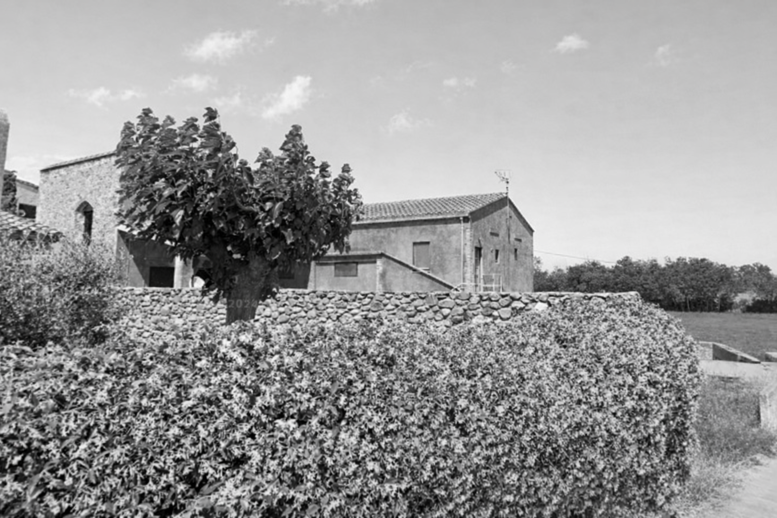 Empordà home coming soon